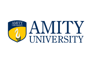 Transcript from Amity University, Mysore University, Delhi University 